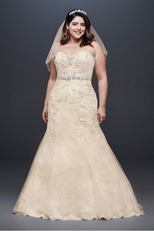 Beaded Lace Plus Size Mermaid Wedding Dress  Collection 9WG3909