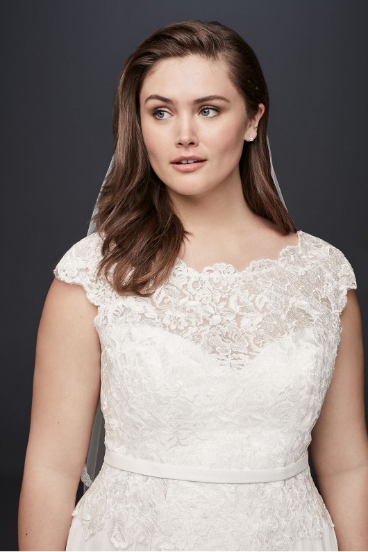 Illusion Lace and Chiffon Plus Size Wedding Dress  Collection 9WG3851