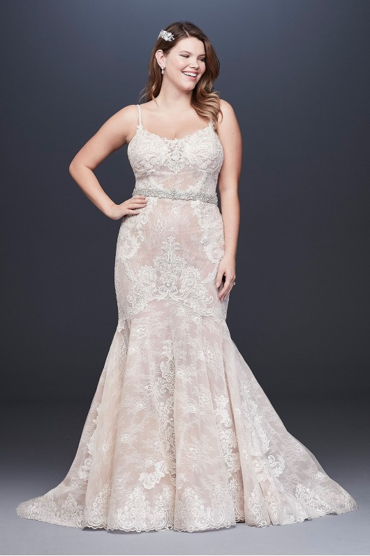 Lace Plus Size Wedding Dress with Moonstone Detail  4XL9SWG824