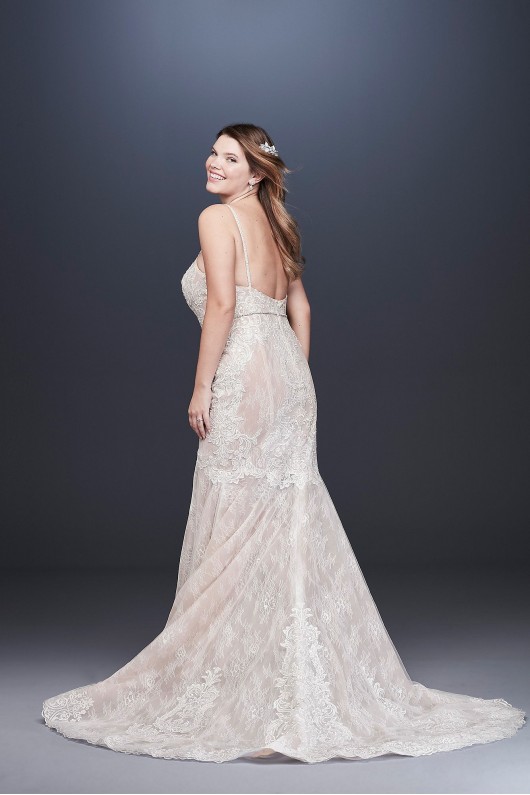 Lace Plus Size Wedding Dress with Moonstone Detail  4XL9SWG824