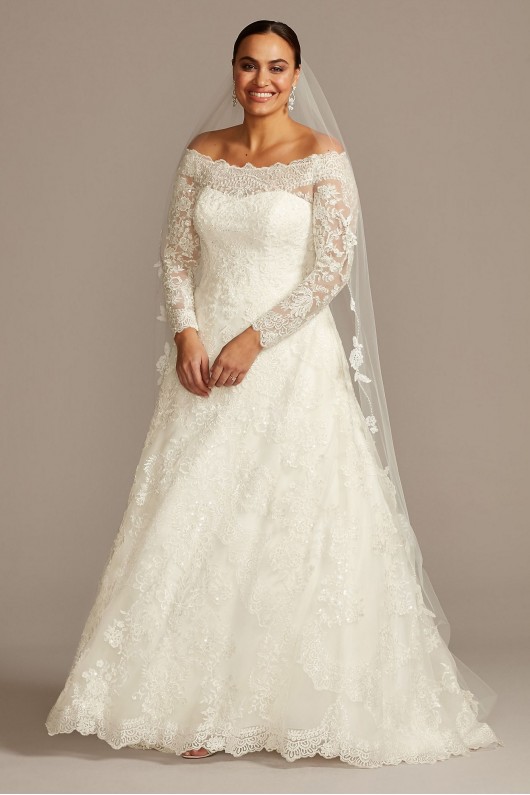 Off-The-Shoulder Plus Size A-Line Wedding Dress  8CWG765