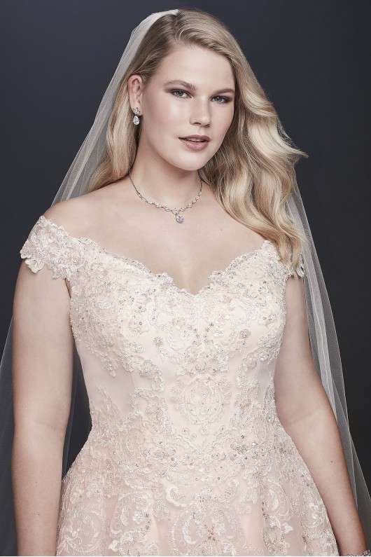 Off-the-Shoulder Applique Plus Size Wedding Dress  Collection 9WG3940