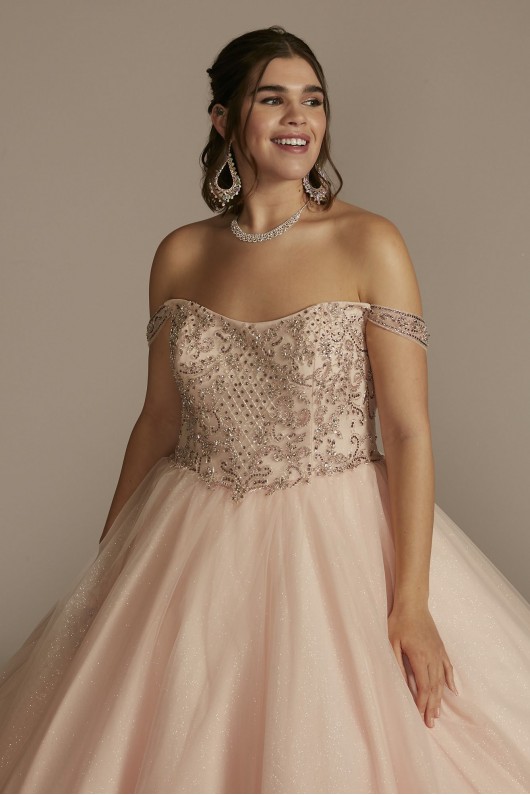 Off-the-Shoulder Beaded Plus Size Quince Ball Gown Fifteen Roses 8FR2201