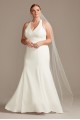 Sheer Back Plus Size Wedding Dress with Lace Train  Collection 9WG3989