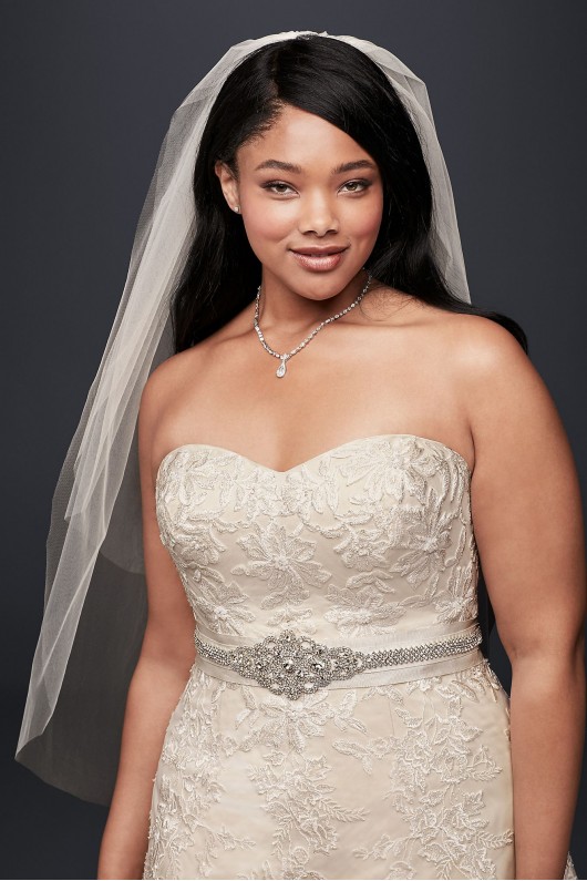 Tulle A-Line Plus Size Wedding Dress with Lace  Collection 9V3587